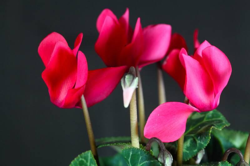 Untitled design (24)