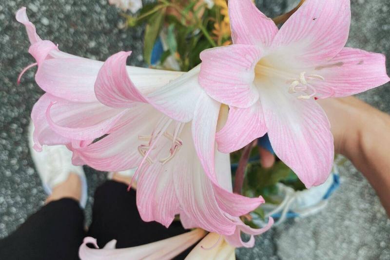 zeynep-sumer-LqswXMKJ2jw-unsplash