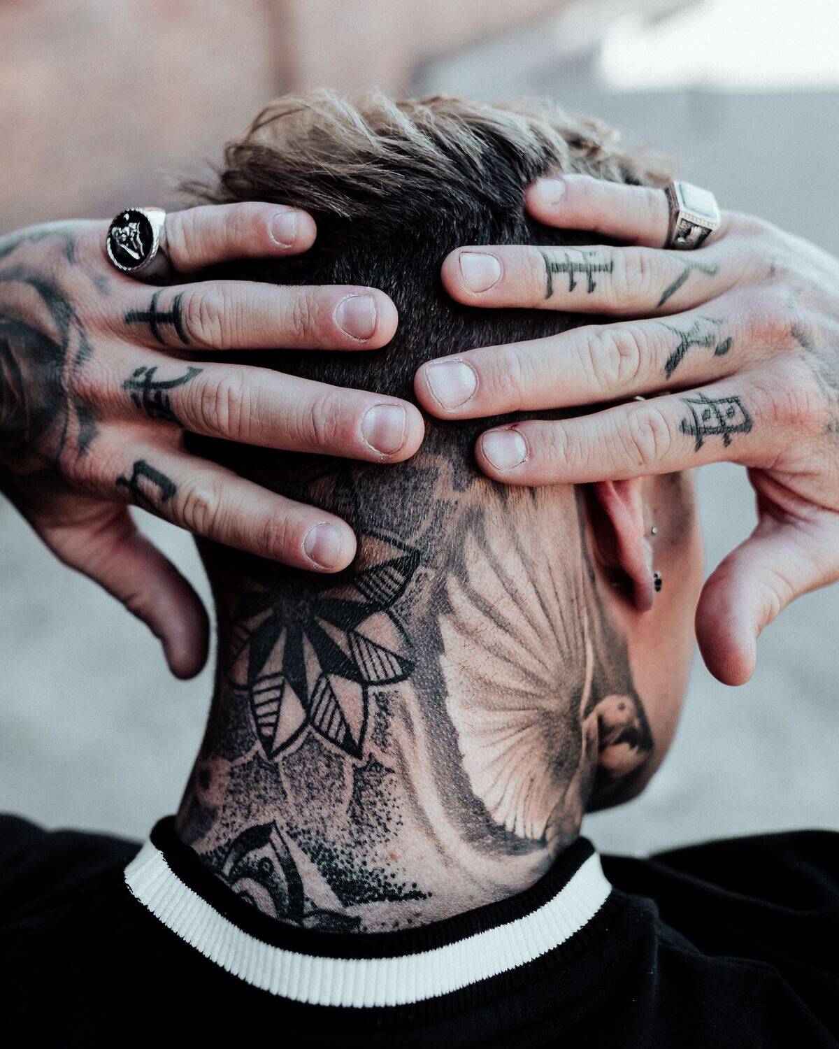 steven-erixon-SBrxqx8Vvhg-unsplash