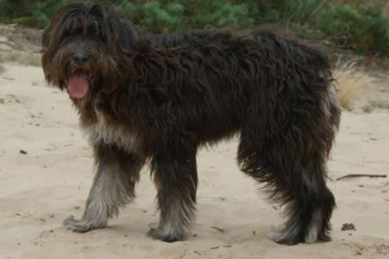 Untitled design (40)