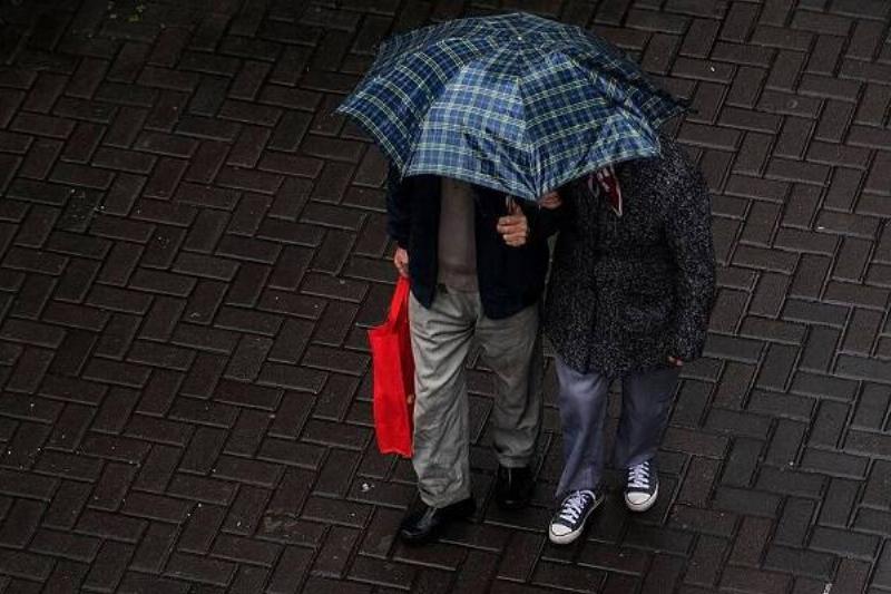 15 Renov Estados EEUU 36