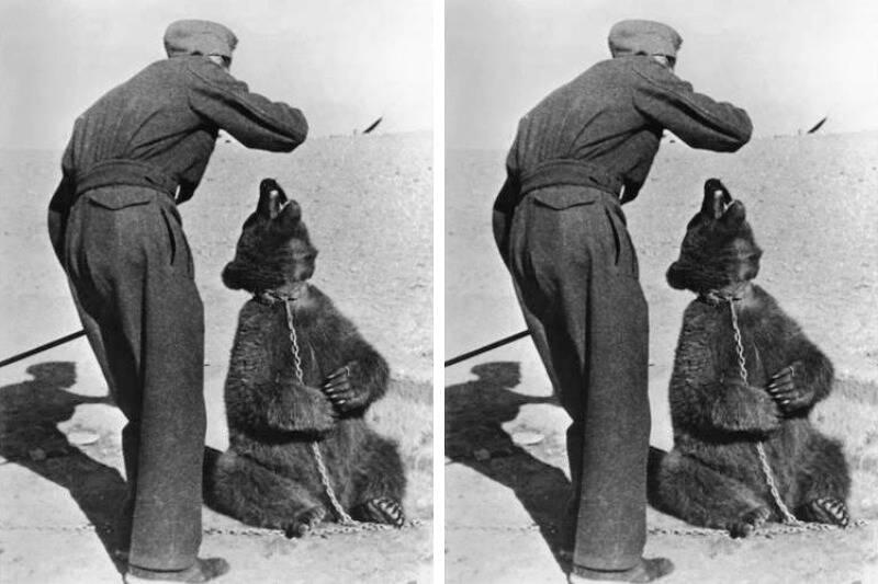 polish solider in Iran with Wojtek