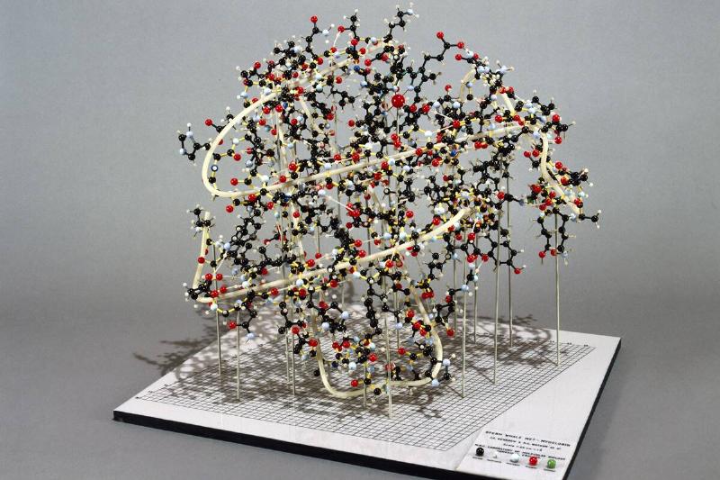 Sperm Whale myoglobin, ball and spoke model, c 1972.