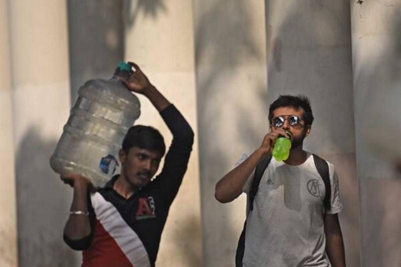 16 Renov Jamaica Flor 21