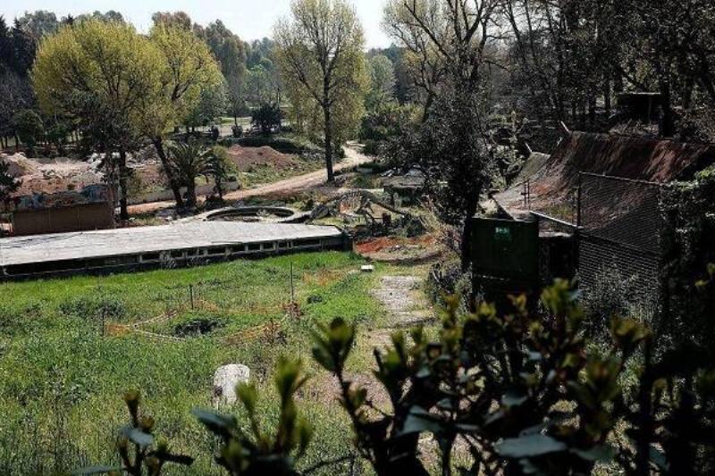 5 Renov Disney Atracciones 34