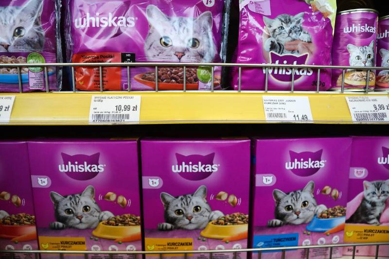 Grocery Stores In Poland