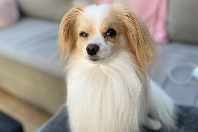 serge-taeymans-LAjbkzSQXPE-unsplash