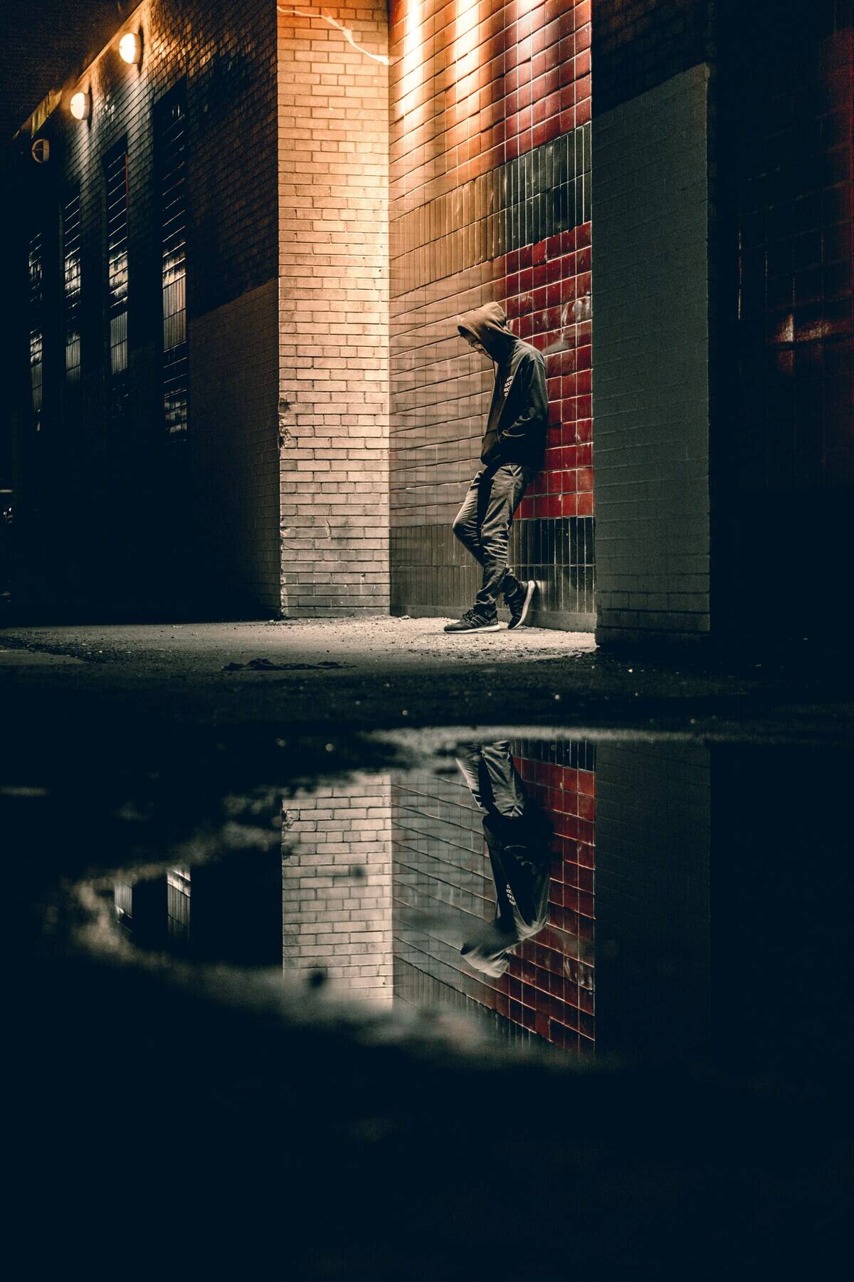 warren-q5QXU-97_i0-unsplash