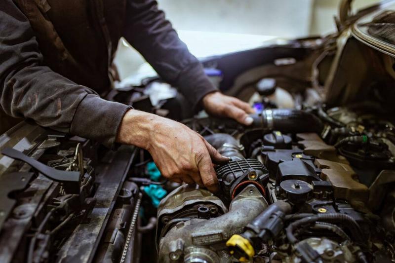 MSN Feature Image - 2024-07-25T142640.886