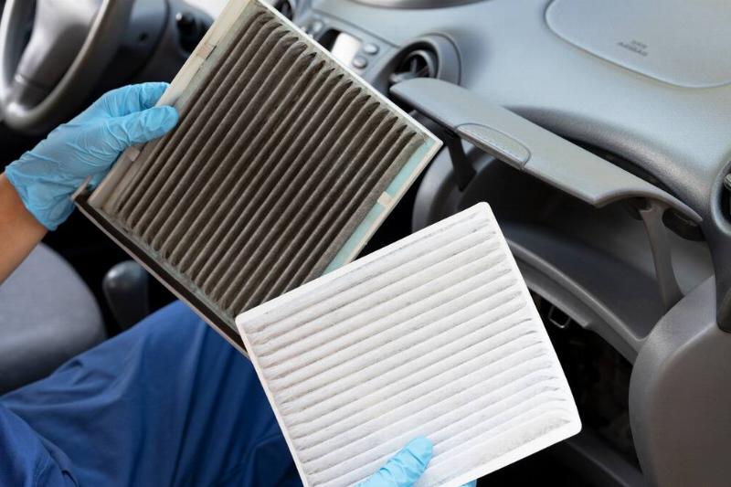 MSN Feature Image - 2024-07-25T142913.981