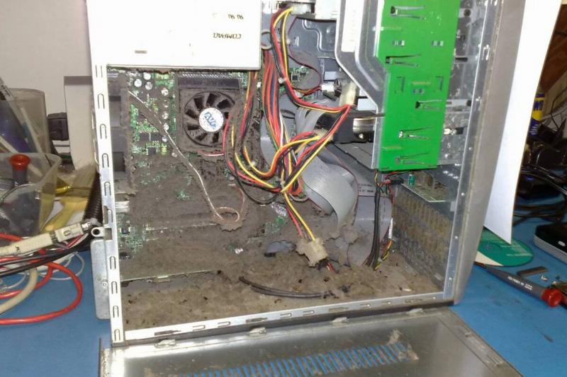 computee dust
