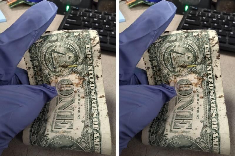 dollar gross2