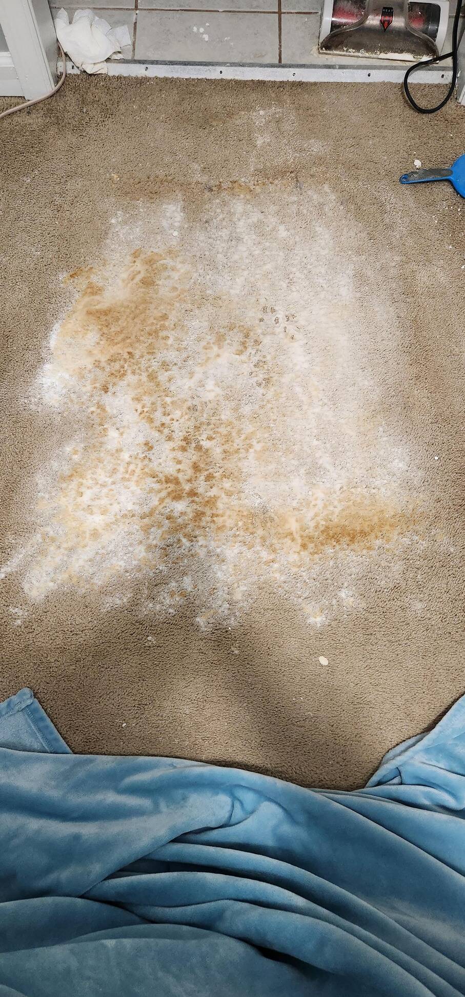 baking soda carpet