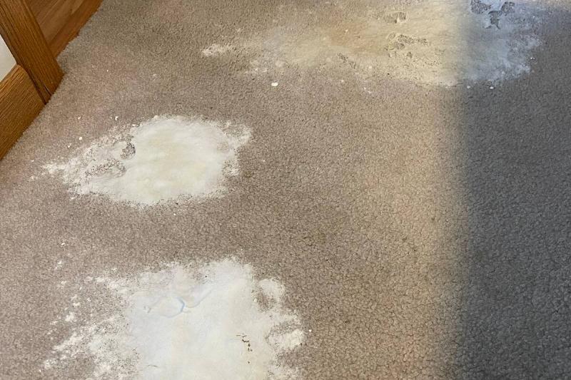 carpet baking soda