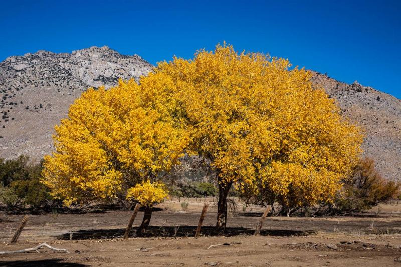 Exploring Autumn in California's Owens Valley