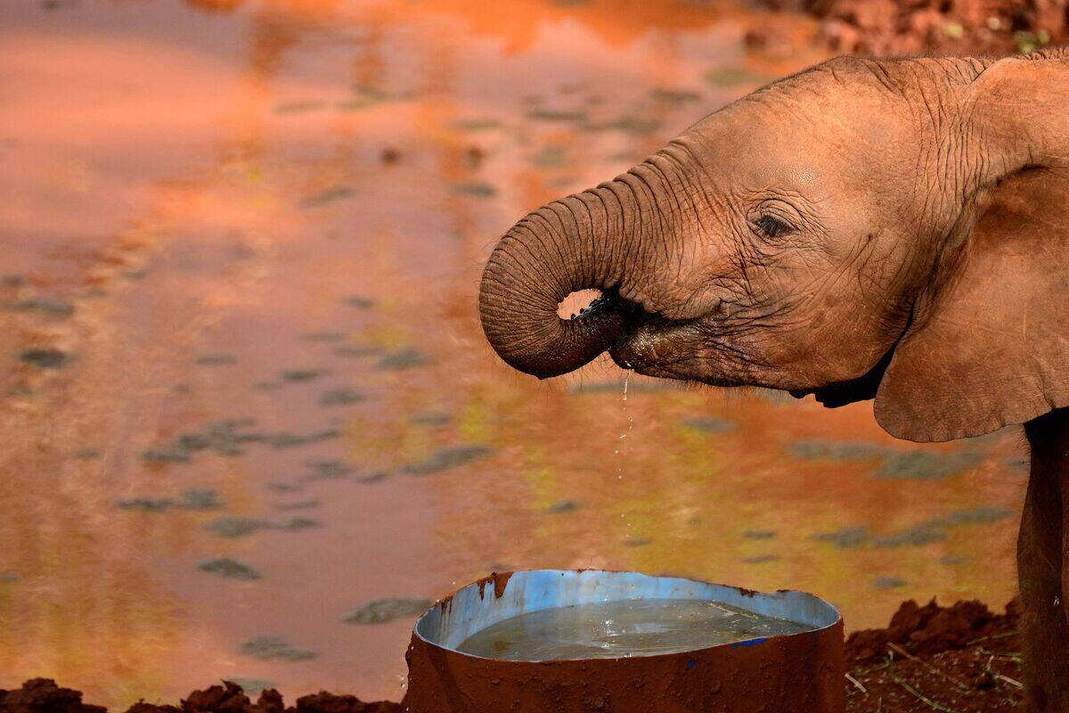 KENYA-BRITAIN-ROYALS-DIPLOMACY