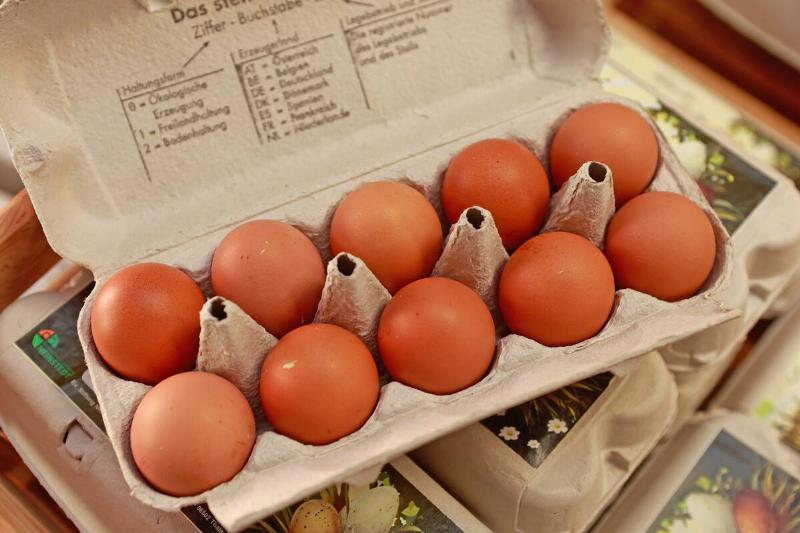 Organic eggs from the Marienhof in Neinstedt
