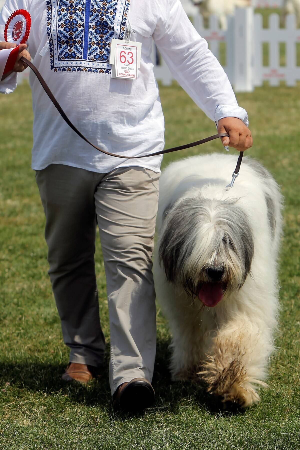 ROMANIA-BUCHAREST-CANINE BEAUTY SHOW
