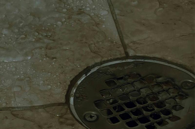 algernai-hayes-Bsw-804FEtQ-unsplash