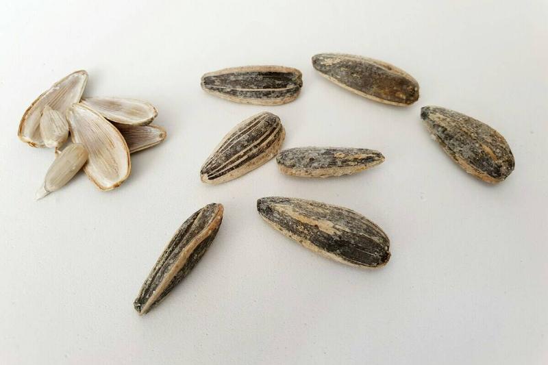 zobia-shakar-X62QwKxlEaw-unsplash