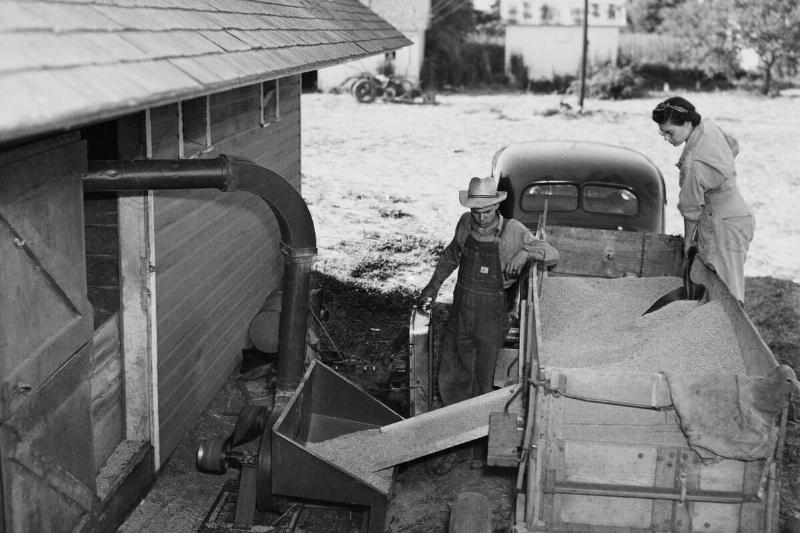 Woman Farmer Beats Manpower Shortage At Abilene In Kansas-North America