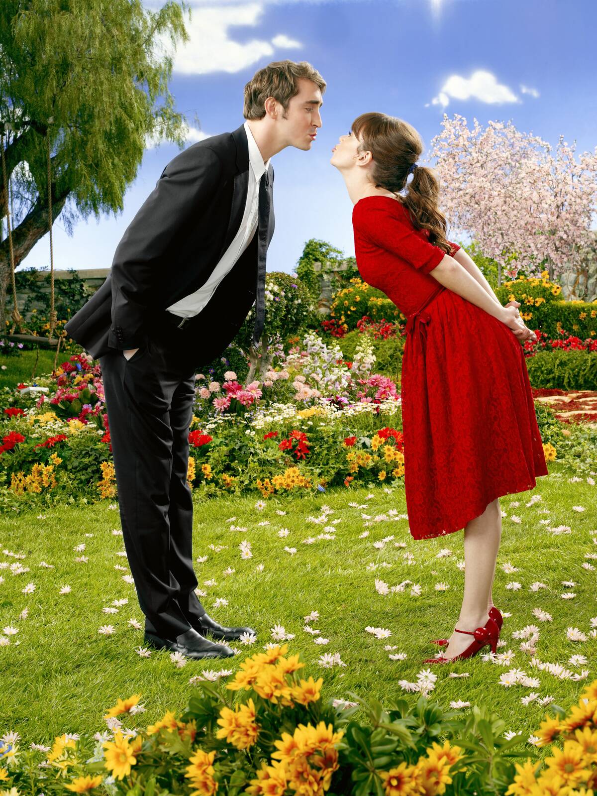PUSHING DAISIES
