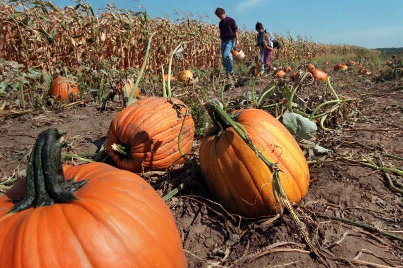 GettyImages-1154313683