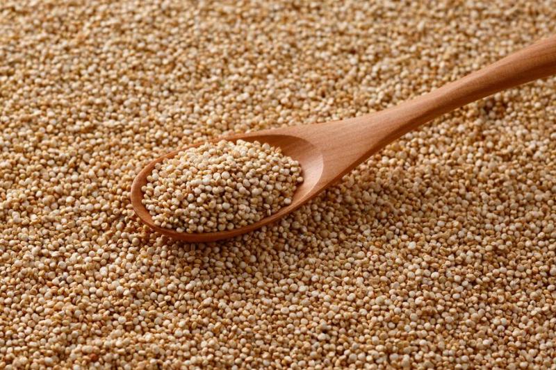 Spoon filled with grain resting atop a pile of grain