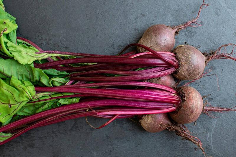 emma-jane-hobden-lFxgx7Snyfw-unsplash