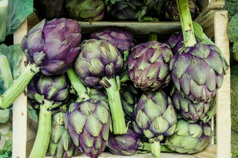 martin-adams-5XXfyMMan84-unsplash