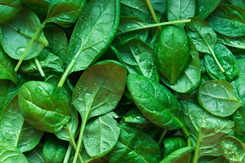 patrycja-jadach-kaFOWISaaVY-unsplash