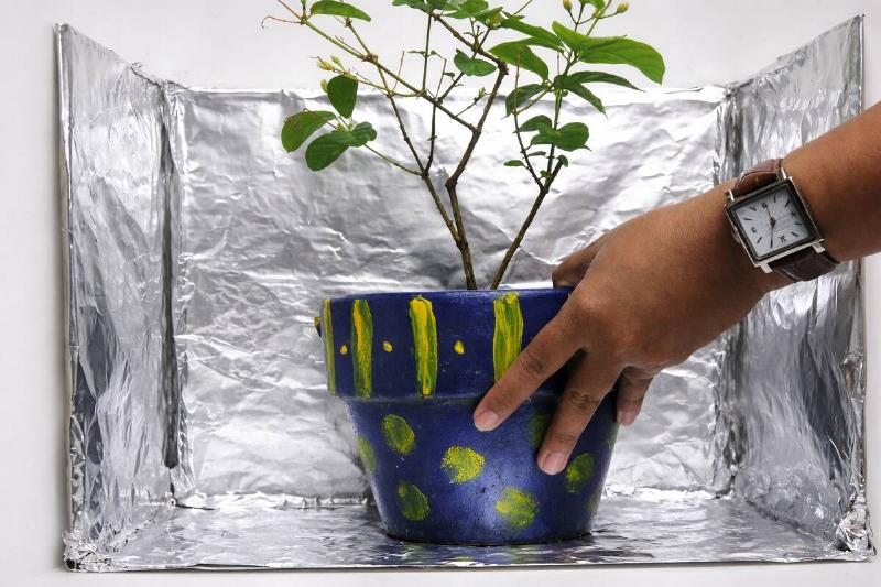 AI rendering of a potted plant being placed in the middle of an open box made of aluminum foil