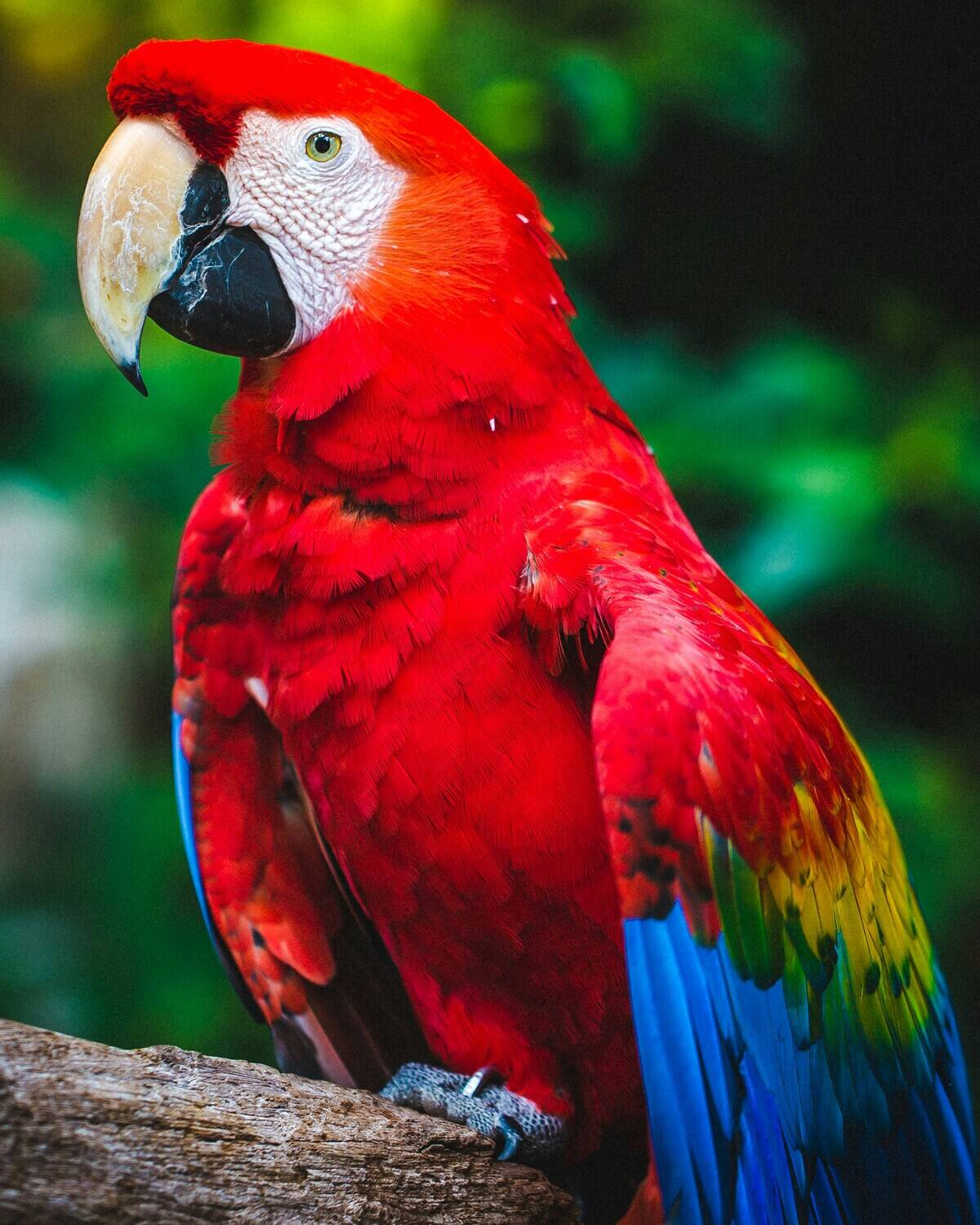 christopher-alvarenga-3osGqRRtQBE-unsplash