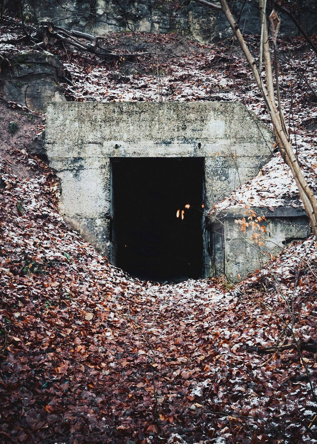 mark-boss-dWs3M2rnBk8-unsplash