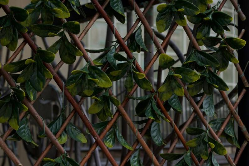 taylor-hammersla-d0ZV_yOcUnM-unsplash