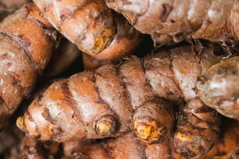 fellipe-ditadi-JM7FNuEbiZw-unsplash