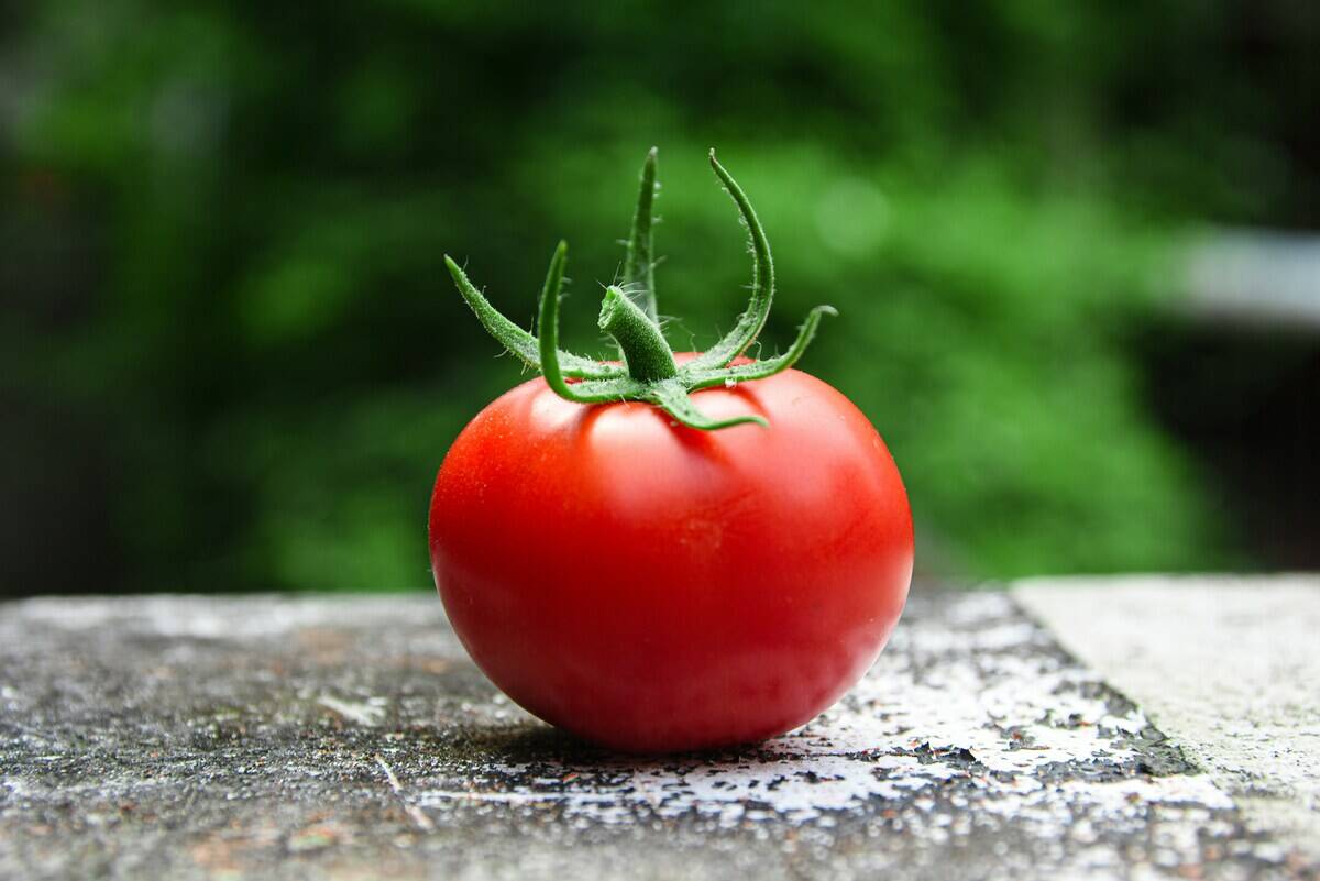 Tomato on a concrete surface outside
