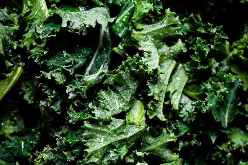 Leaves of kale bunched together