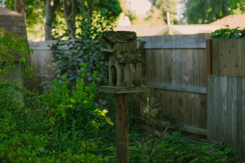 emma-swoboda-CAxc0RLYXJw-unsplash