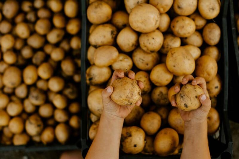 Person off-screen holding two potatoes over containers of potatoes
