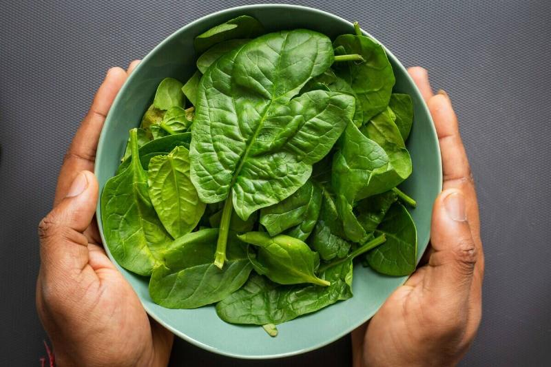 Person holding a bowl of spinach
