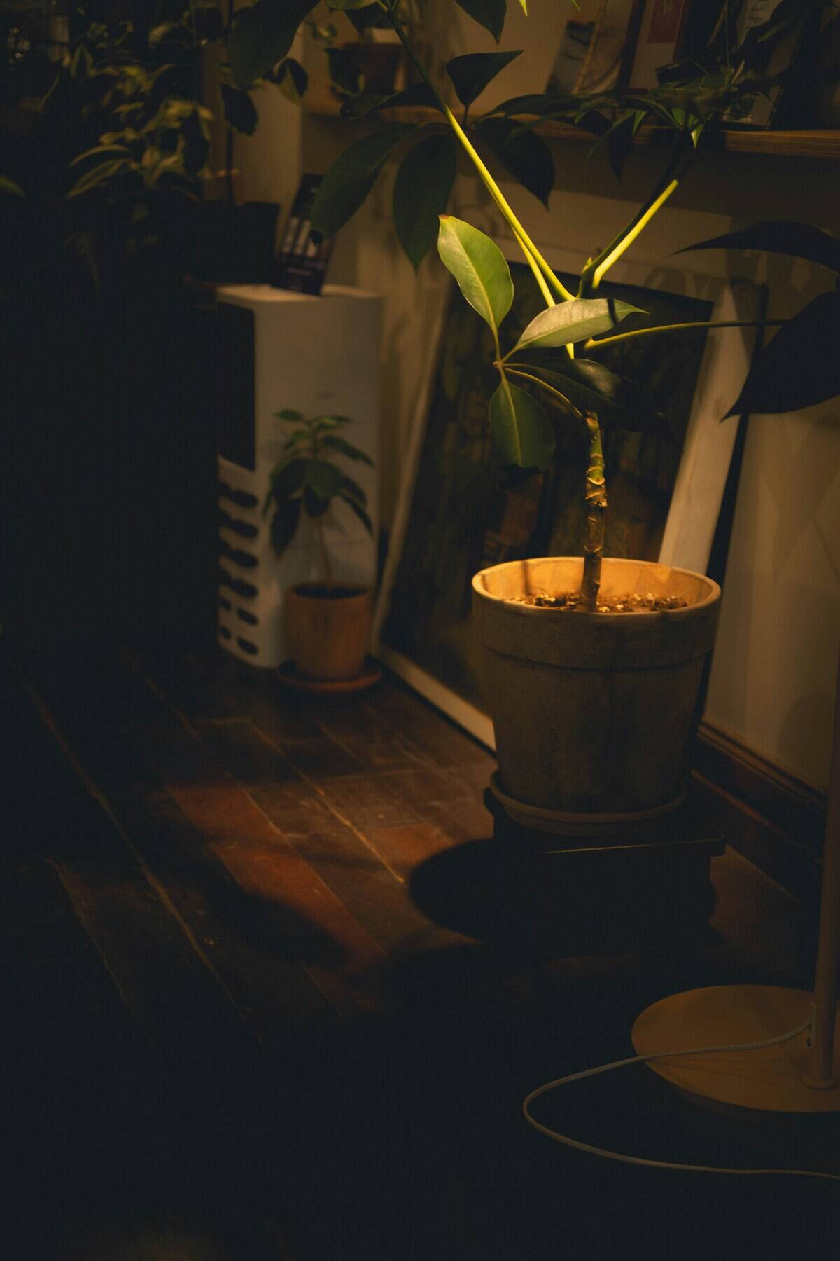 nguy-n-hi-p-PNIFROiIiDw-unsplash