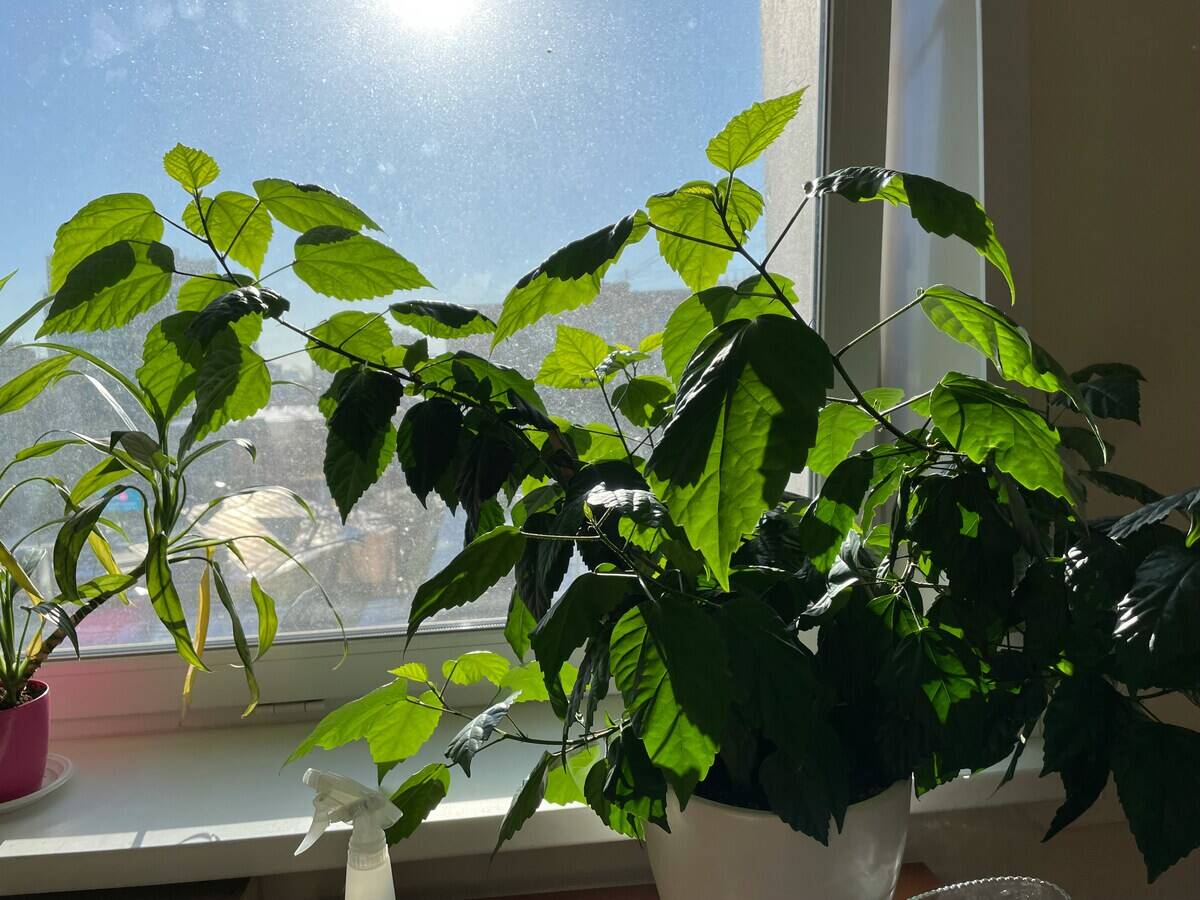 pavel-seleznev-v-LEbdL6uIU-unsplash