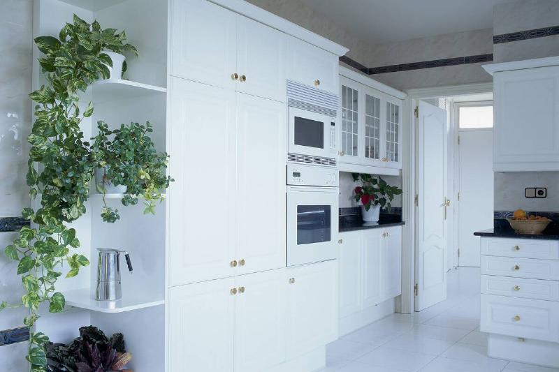 View of an elegant kitchen