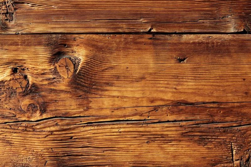 wilhelm-gunkel-HFJafmJ-qcI-unsplash