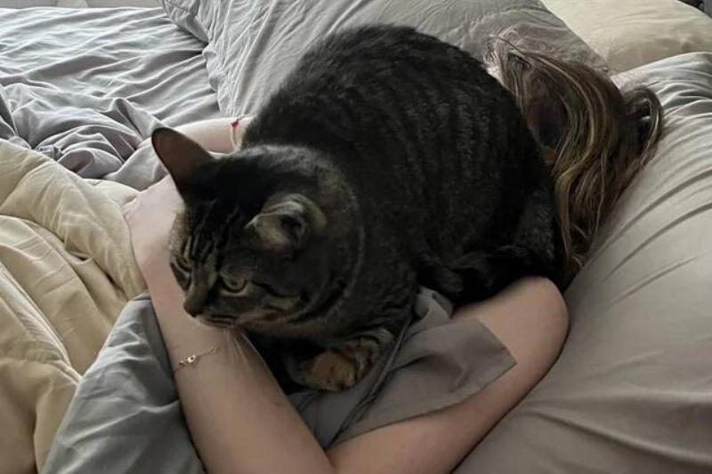 6-04-am-my-wife-didnt-wake-up-to-feed-her-weve-had-an-v0-kpvcywoaz3pf1