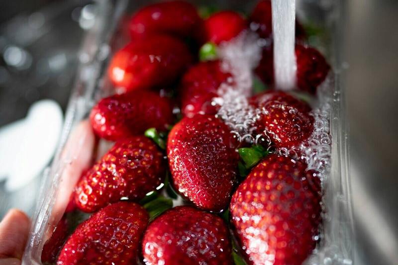 fidel-fernando-F7We5wG-hAU-unsplash