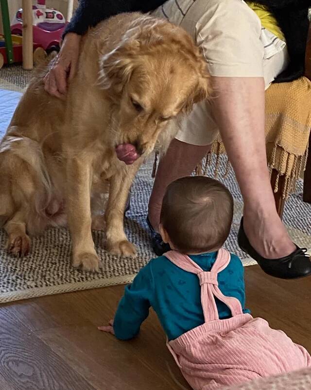 my-2-daughters-first-word-was-the-dogs-name-v0-bsnpxoo1gfne1