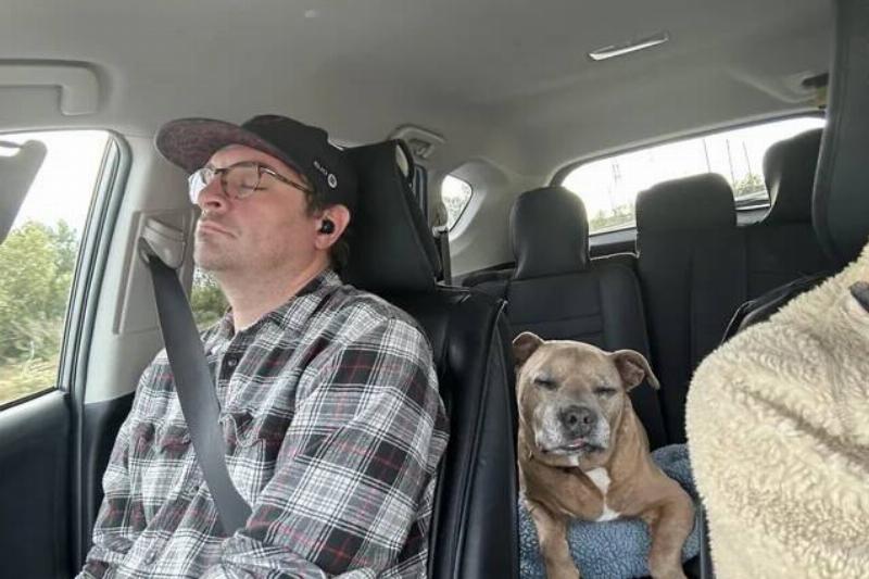 my-wife-says-our-dog-and-i-look-the-same-while-napping-v0-4jxvi8kqraff1