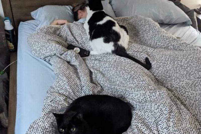 my-wife-trying-to-sleep-in-on-a-saturday-morning-v0-x8i4xmnoursb1